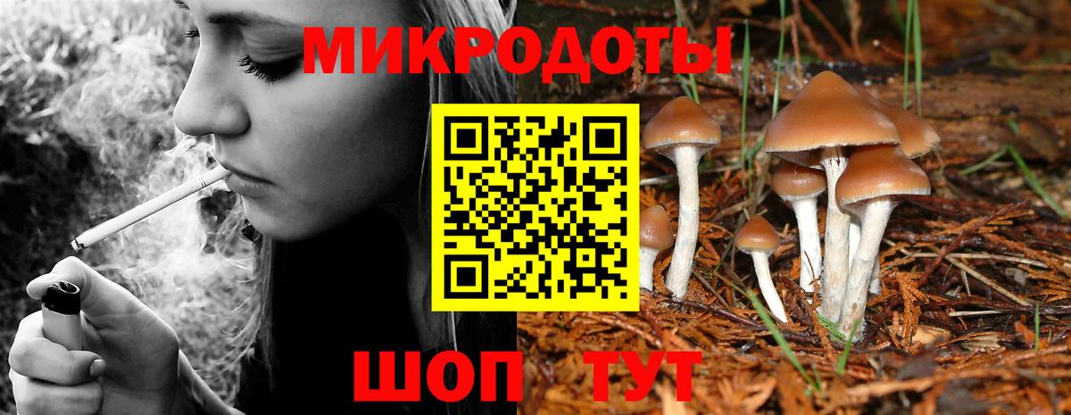 Галлюциногенные грибы GOLDEN TEACHER Подольск