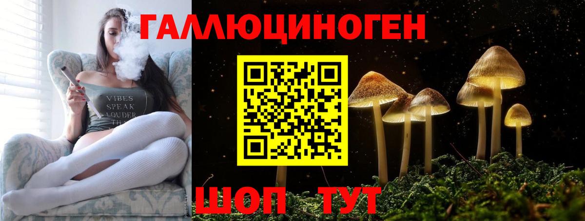 Подольск  Галлюциногенные грибы мицелий  Вход с VPN  Галлюциногенные грибы Magic Shrooms 