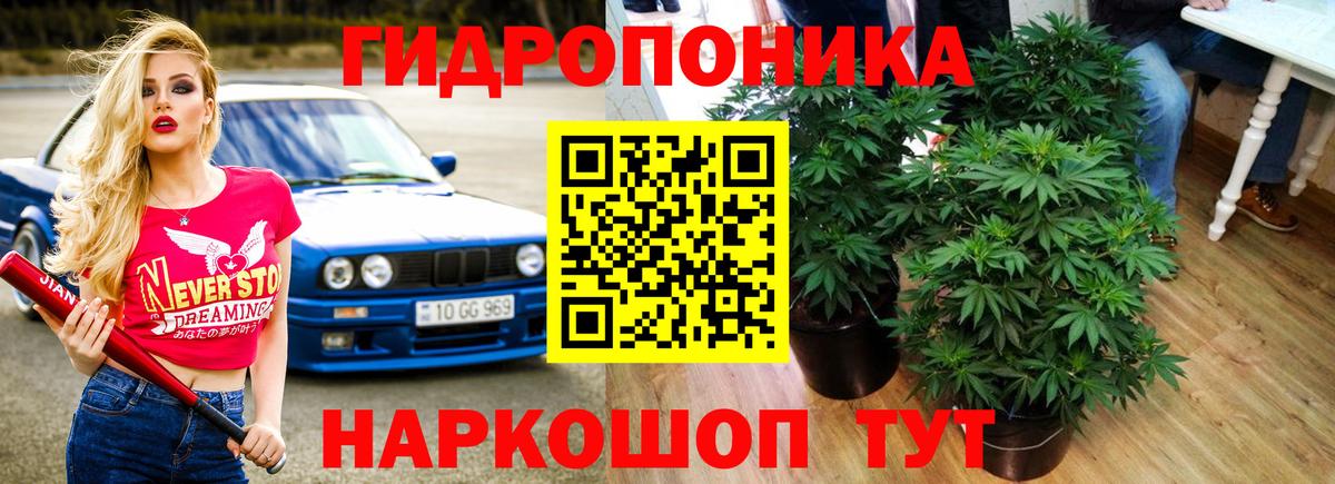 Каннабис индика  Вход с VPN  Бошки марихуана ГИДРОПОН  Подольск  Марихуана гибрид 
